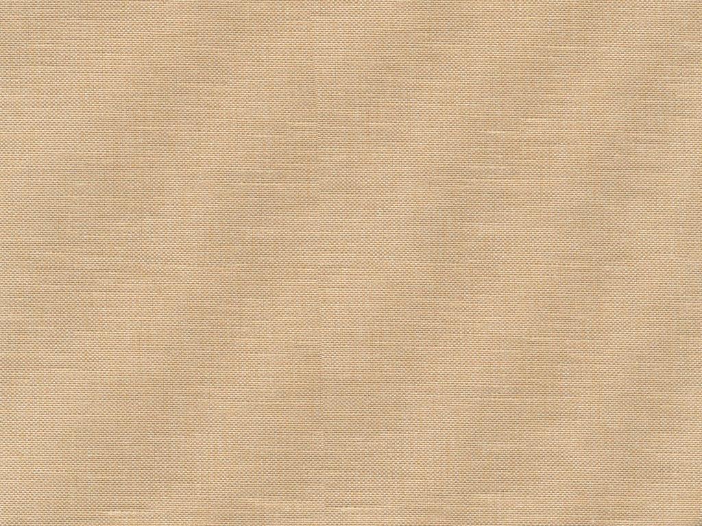 Ткань для штор Benone premium 3704 - изображение 1 - заказать онлайн в салоне штор Benone в Дрезне