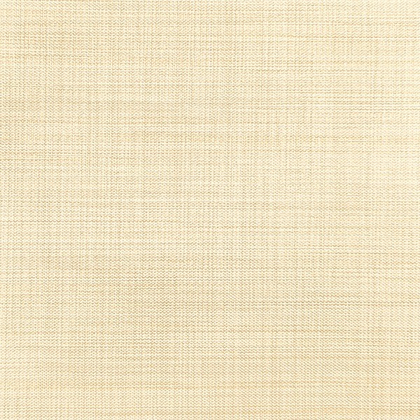 Ткань для рулонных штор на проем Benone 7858 - изображение 1 - заказать онлайн в салоне штор Benone в Дрезне